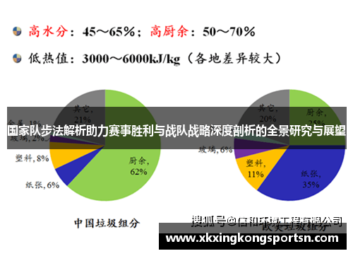 国家队步法解析助力赛事胜利与战队战略深度剖析的全景研究与展望